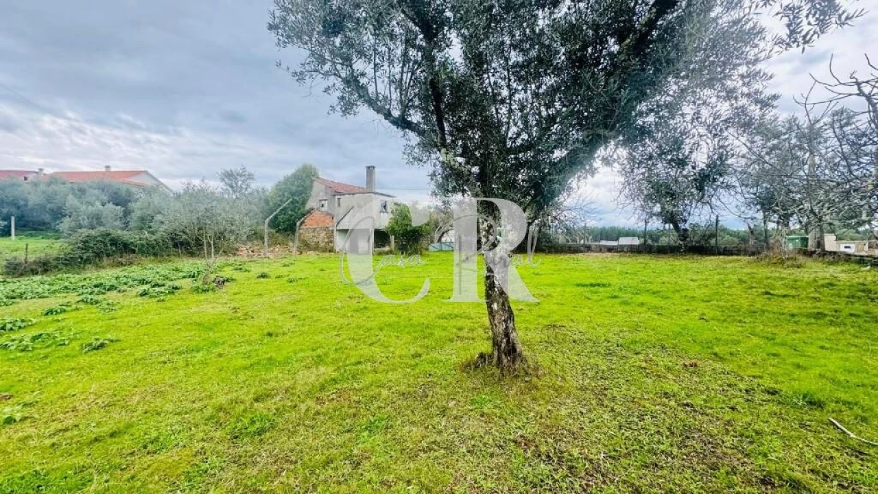 Moradia T2 para Venda em Graça Foto 13