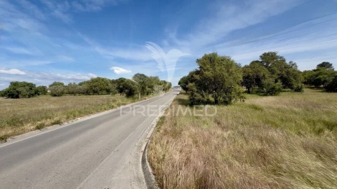 Terreno para Venda em Quinta do Anjo
