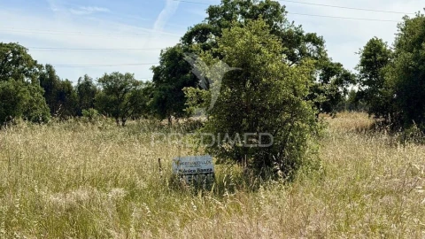 Terreno para Venda em Quinta do Anjo