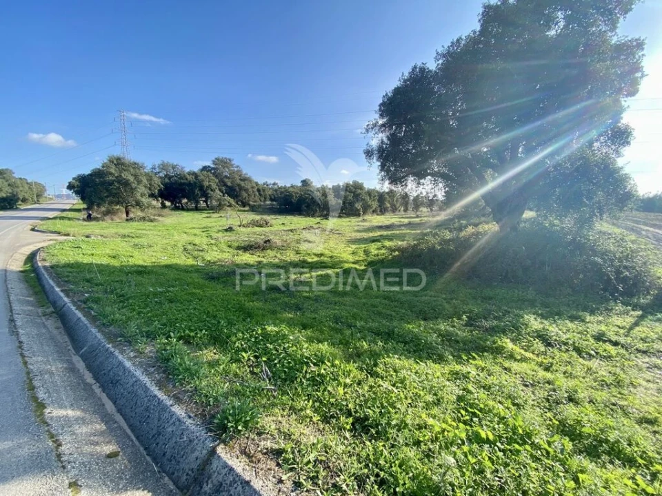 Terreno para Venda em Quinta do Anjo Foto 1