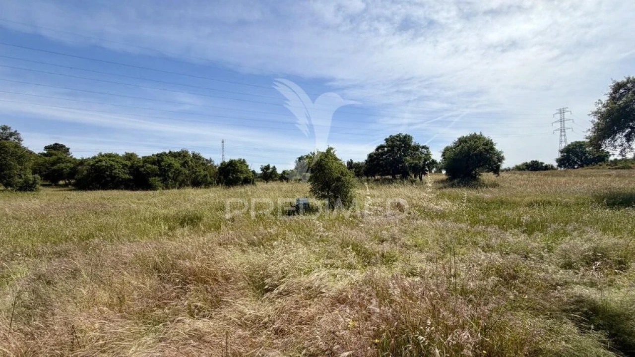 Terreno para Venda em Quinta do Anjo Foto 9