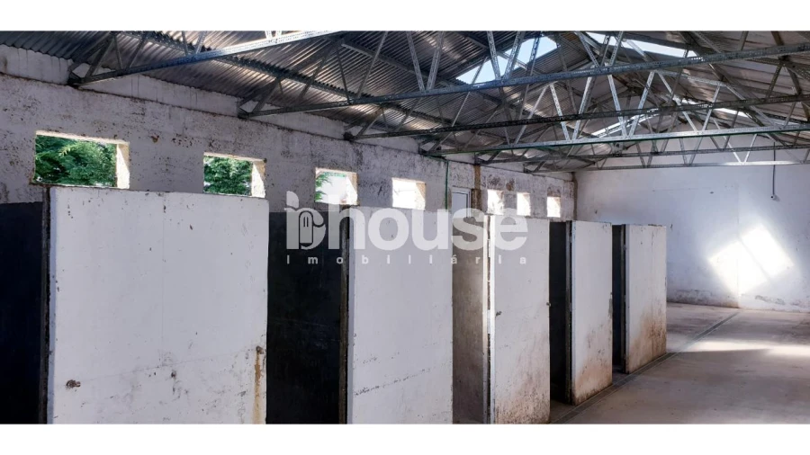 Armazém para Venda em Vassal Foto 15
