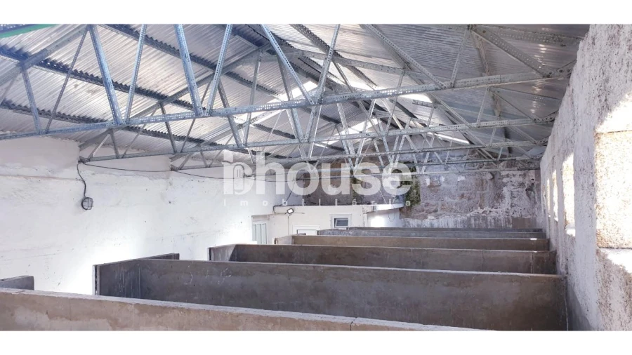 Armazém para Venda em Vassal Foto 19