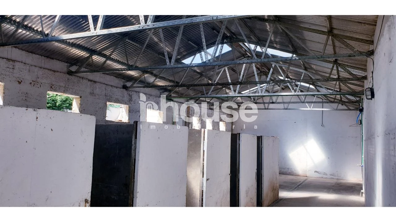 Armazém para Venda em Vassal Foto 14