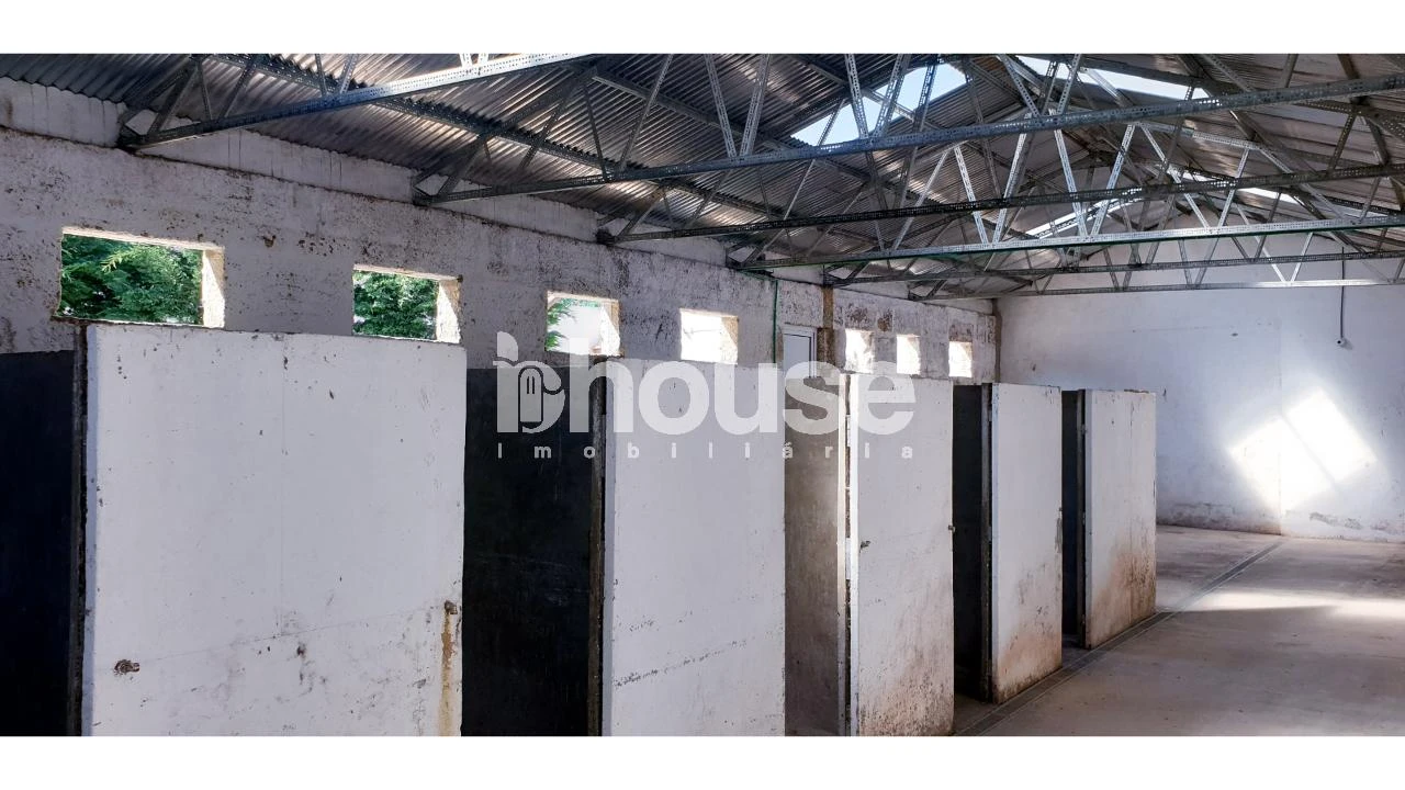 Armazém para Venda em Vassal Foto 15