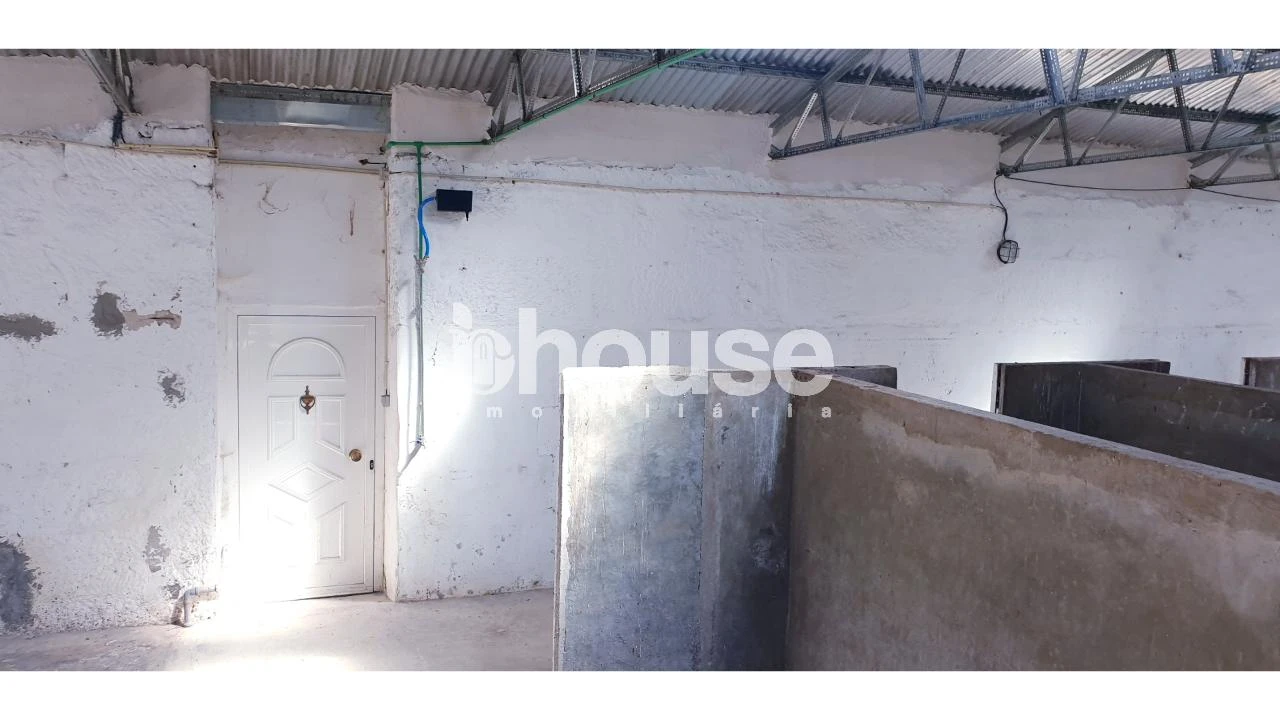 Armazém para Venda em Vassal Foto 17