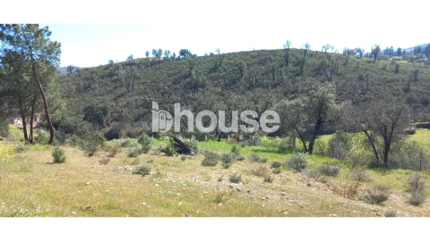 Terreno para Venda em Mirandela