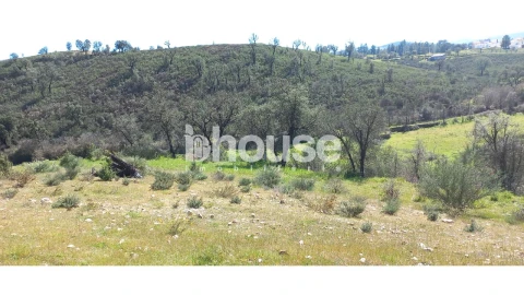 Terreno para Venda em Mirandela