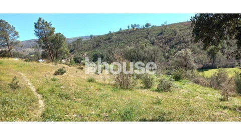 Terreno para Venda em Mirandela