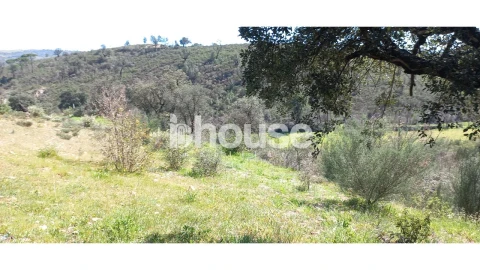 Terreno para Venda em Mirandela
