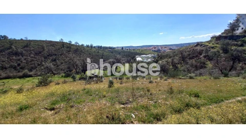 Terreno para Venda em Mirandela