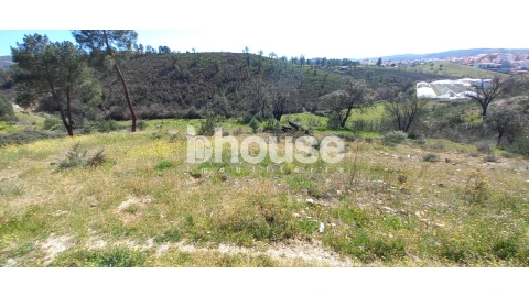 Terreno para Venda em Mirandela