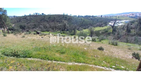 Terreno para Venda em Mirandela