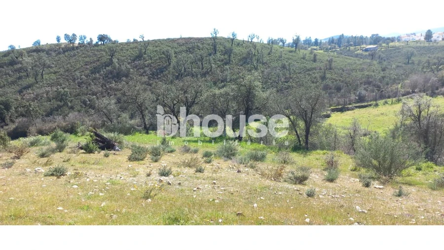 Terreno para Venda em Mirandela Foto 5