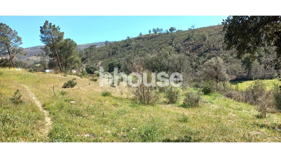 Terreno para Venda em Mirandela Foto 6