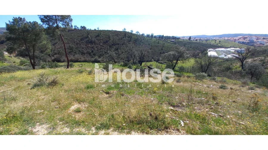 Terreno para Venda em Mirandela Foto 13
