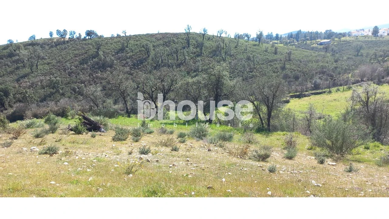 Terreno para Venda em Mirandela Foto 5