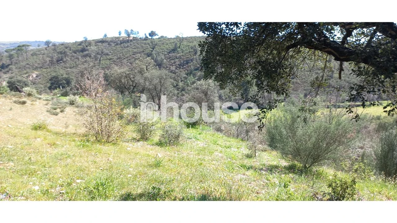 Terreno para Venda em Mirandela Foto 7