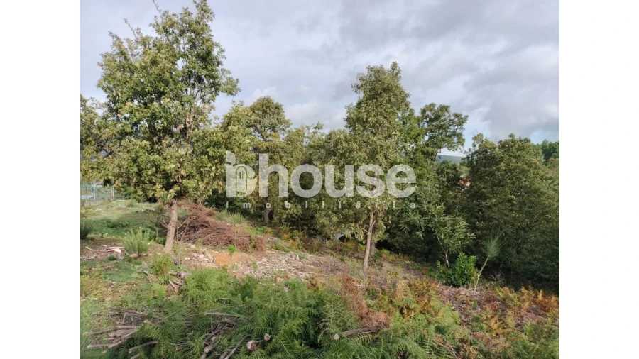 Terreno para Venda em Vreia de Bornes Foto 3