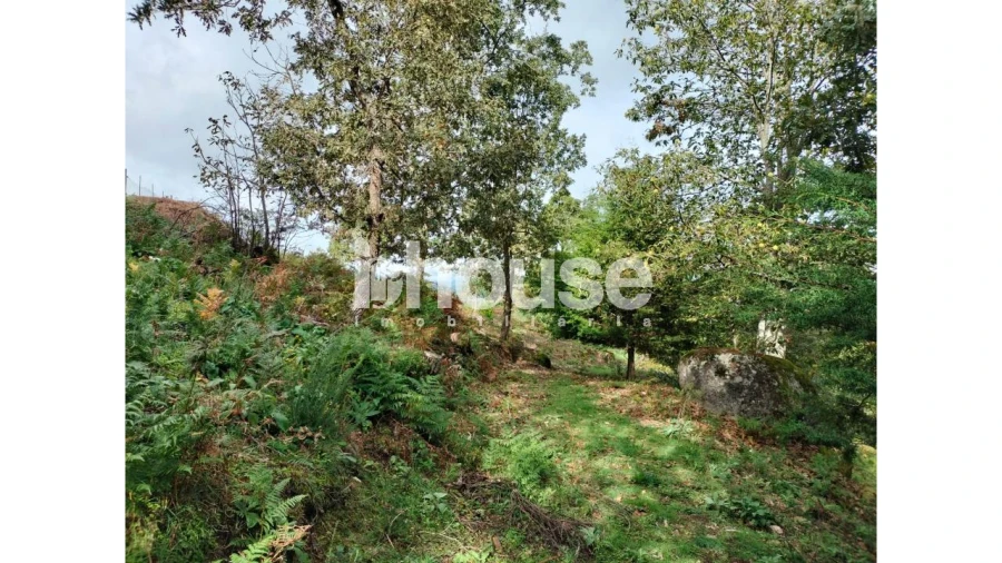 Terreno para Venda em Vreia de Bornes Foto 7
