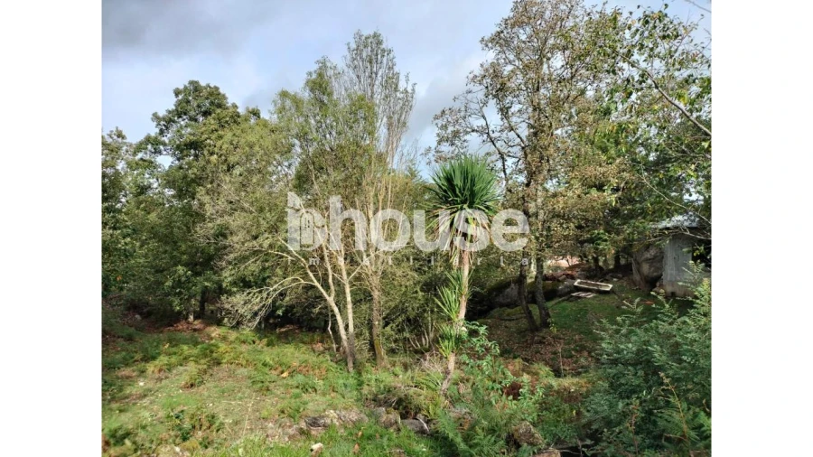 Terreno para Venda em Vreia de Bornes Foto 8