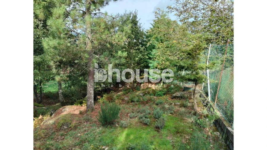 Terreno para Venda em Vreia de Bornes Foto 12