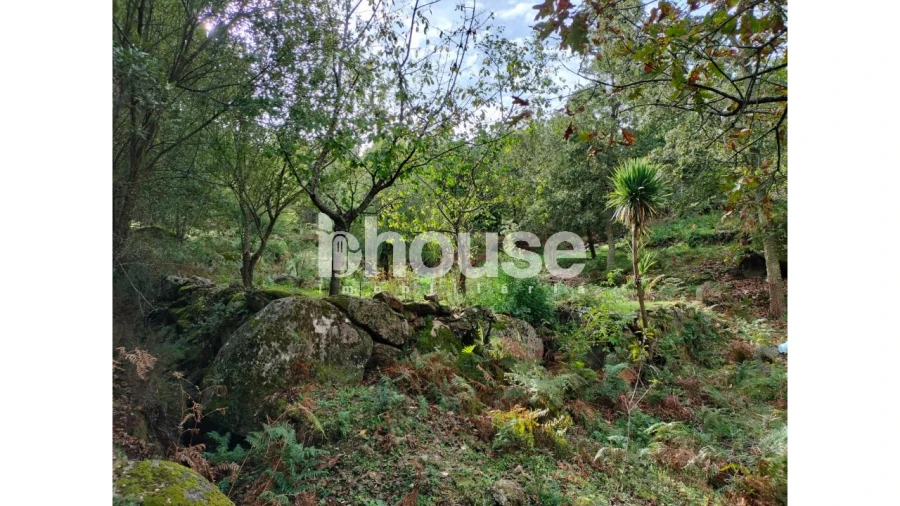 Terreno para Venda em Vreia de Bornes Foto 13
