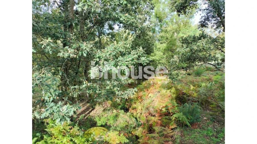 Terreno para Venda em Vreia de Bornes Foto 16