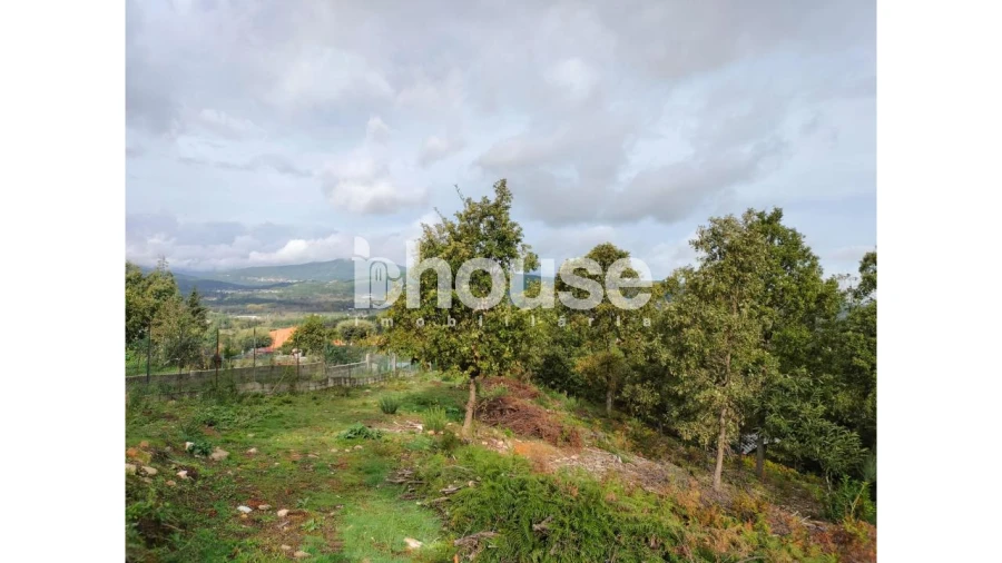 Terreno para Venda em Vreia de Bornes Foto 17