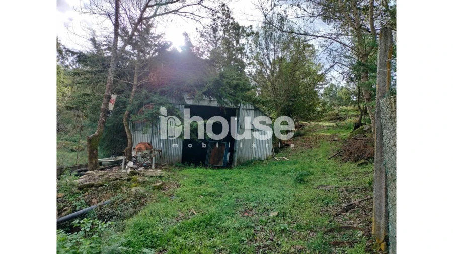 Terreno para Venda em Vreia de Bornes Foto 18