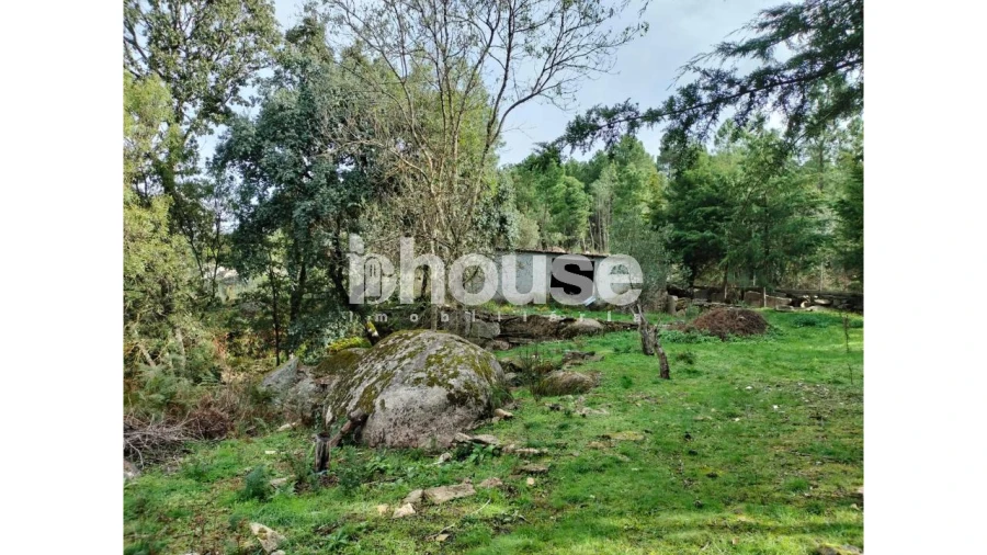 Terreno para Venda em Vreia de Bornes Foto 22