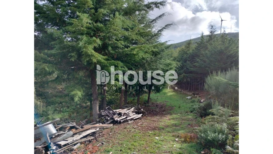 Terreno para Venda em Vreia de Bornes Foto 25