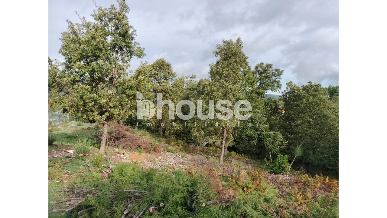 Terreno para Venda em Vreia de Bornes Foto 3