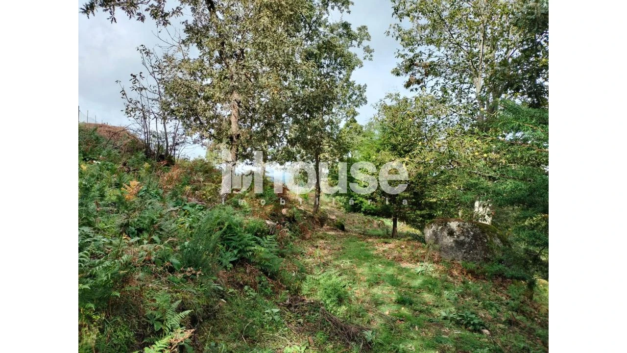 Terreno para Venda em Vreia de Bornes Foto 7