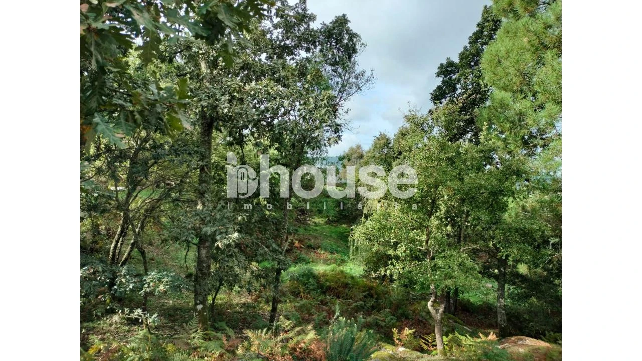 Terreno para Venda em Vreia de Bornes Foto 11