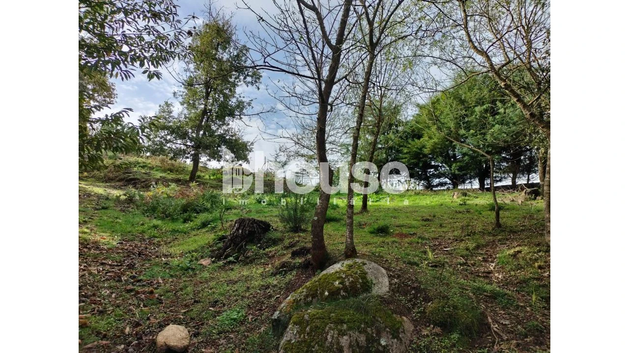 Terreno para Venda em Vreia de Bornes Foto 19