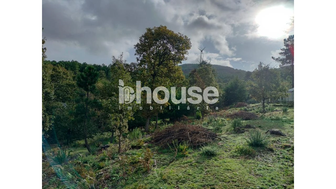 Terreno para Venda em Vreia de Bornes Foto 23