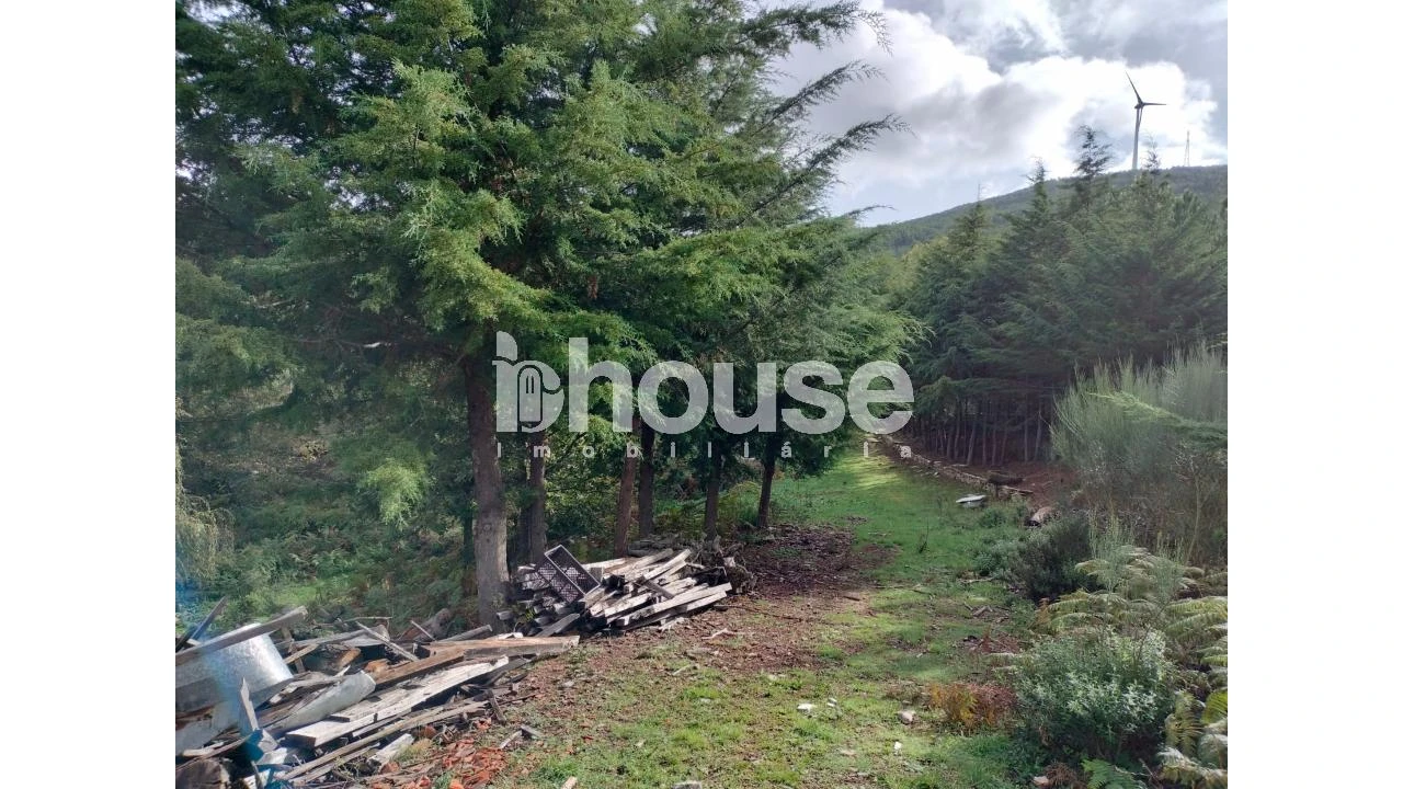 Terreno para Venda em Vreia de Bornes Foto 25