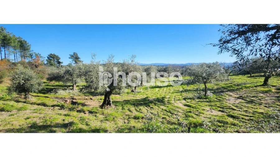 Terreno para Venda em Possacos Foto 1