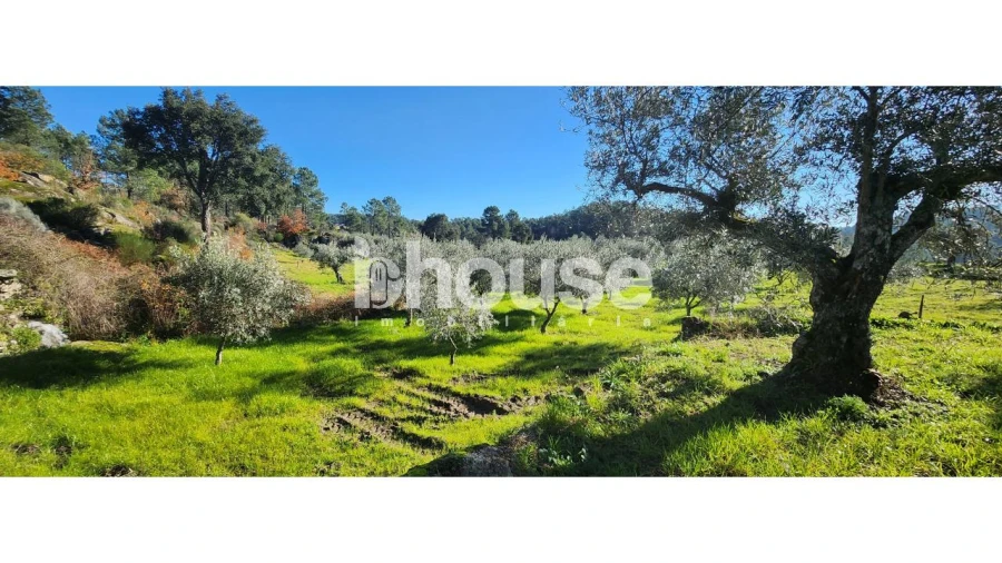 Terreno para Venda em Possacos Foto 7