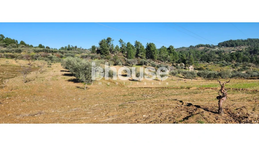 Terreno para Venda em Possacos Foto 10