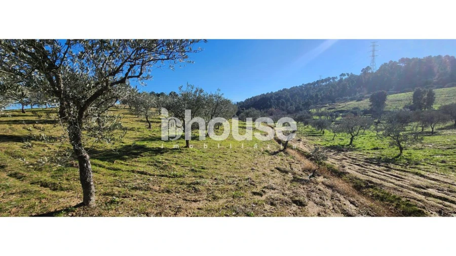 Terreno para Venda em Possacos Foto 18