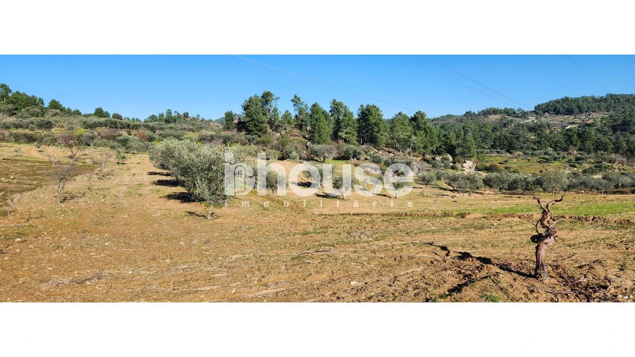 Terreno para Venda em Possacos Foto 10