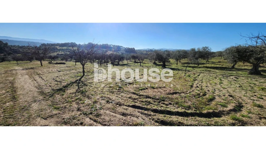 Terreno para Venda em Possacos Foto 6