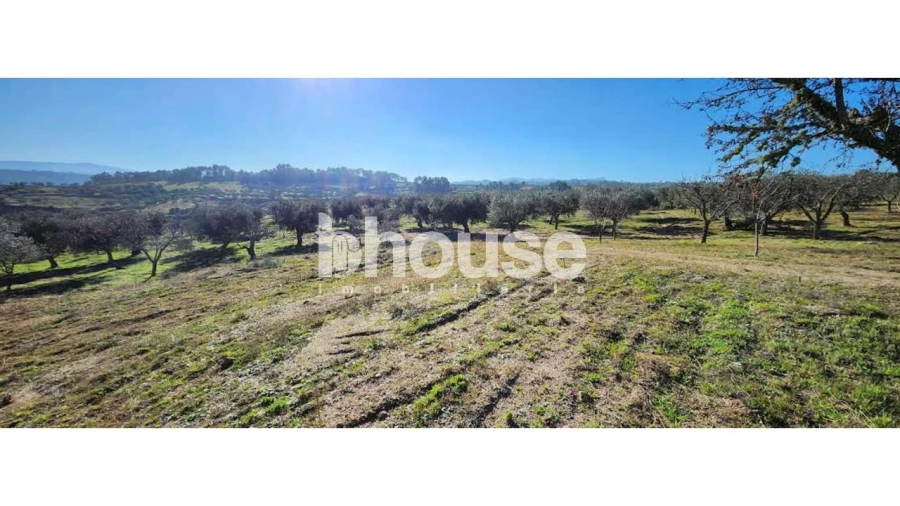 Terreno para Venda em Possacos Foto 10