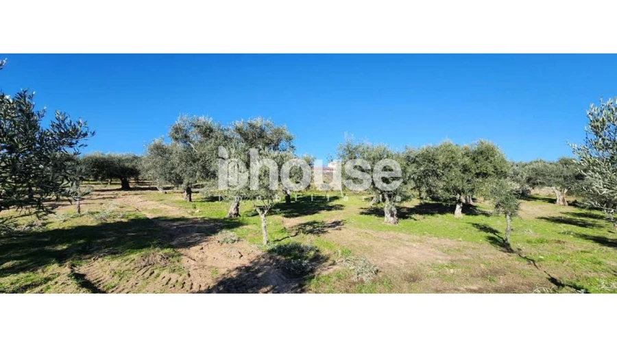 Terreno para Venda em Possacos Foto 15