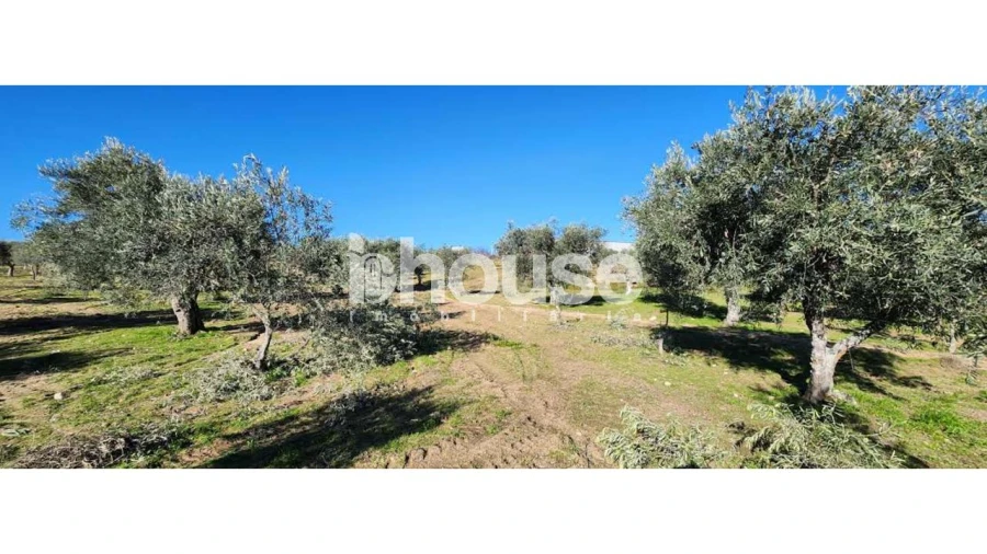 Terreno para Venda em Possacos Foto 17