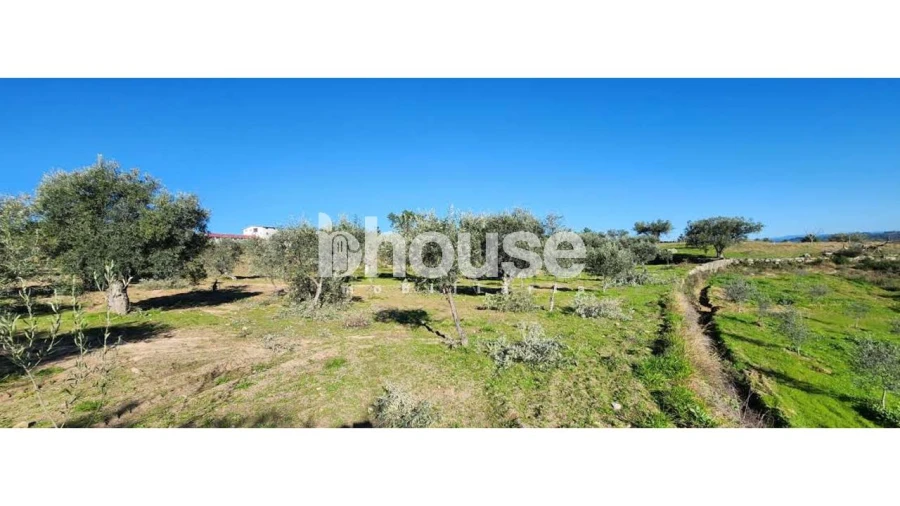 Terreno para Venda em Possacos Foto 19