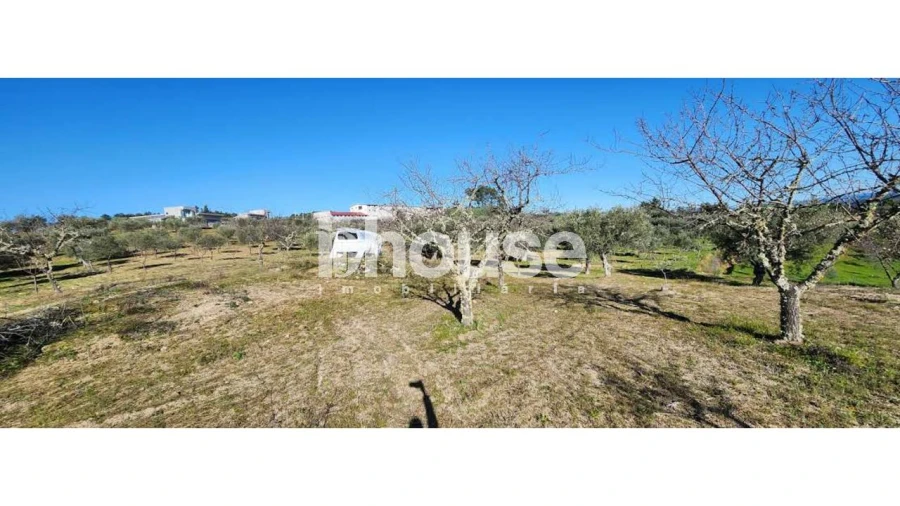 Terreno para Venda em Possacos Foto 24