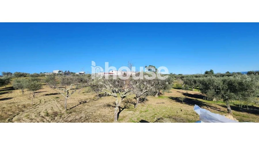 Terreno para Venda em Possacos Foto 28